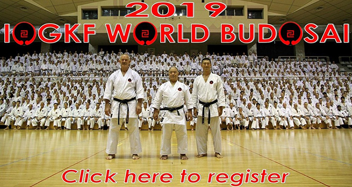 Link to 2019 IOGKF World Budosai